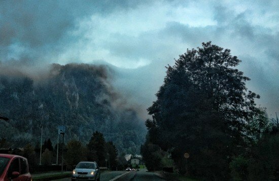 rfalkfog Kopie